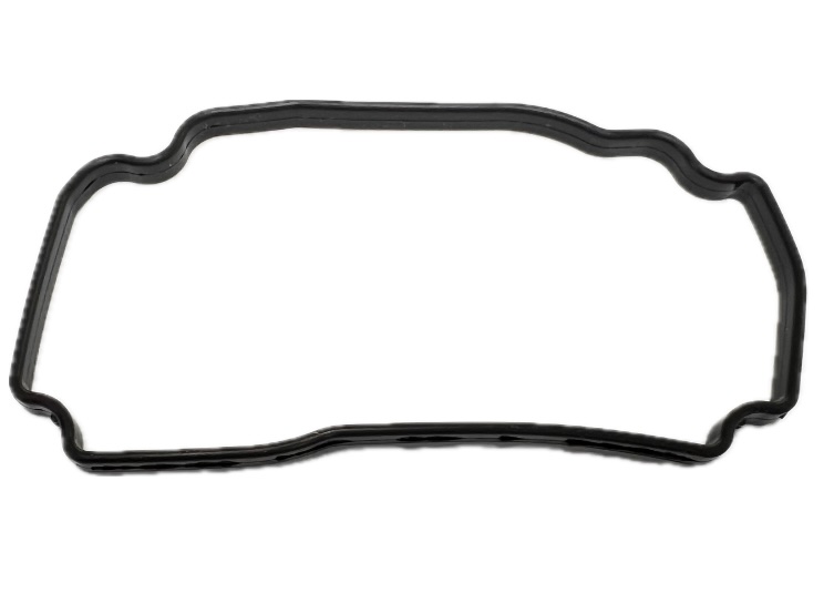 Gear cover packing