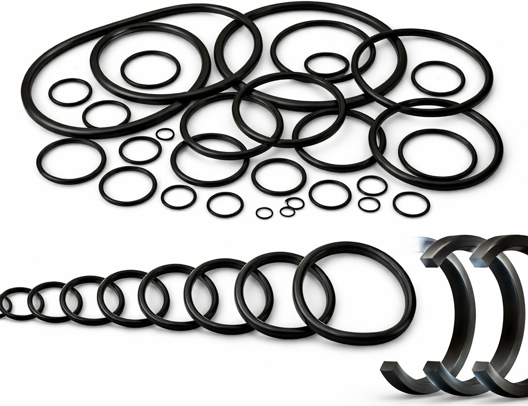 O-ring and D-ring